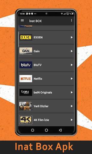 inat Box tv Apk indir Info screenshot 3