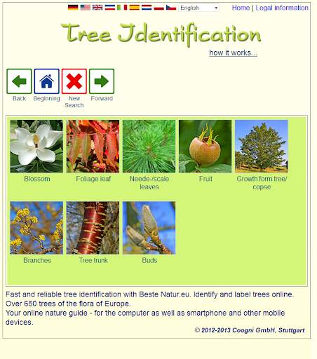 Tree identification screenshot 1