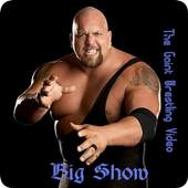 Big Show ,Heavy Weight Fighter: WWE Champion Video 2.2.0