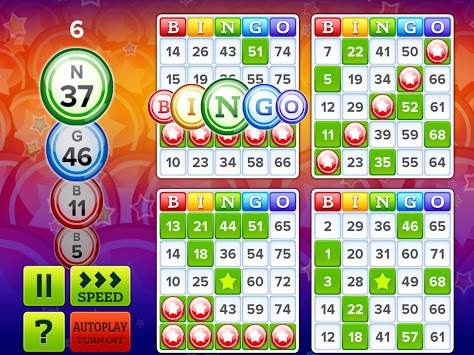 Bingo Bonus screenshot 6