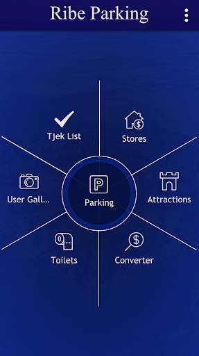 Ribe Parking скриншот 1