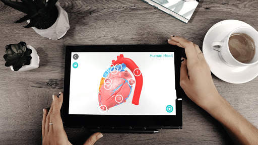 Anatomy 3D screenshot 1