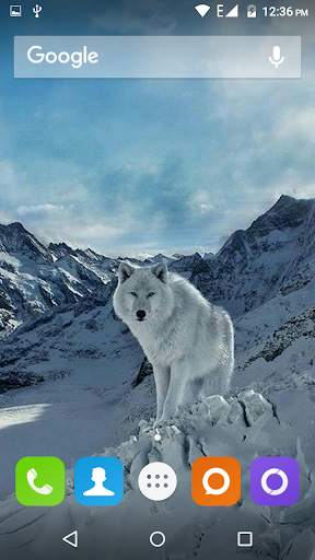 Wolf Hd Wallpaper 2 تصوير الشاشة