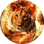 icon