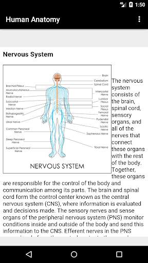 Human Anatomy screenshot 5