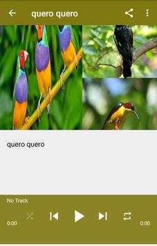Brazilian Bird Song screenshot 2