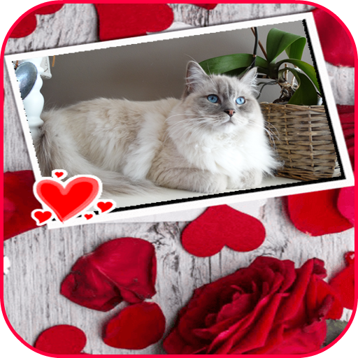 Best Photo Frames icon