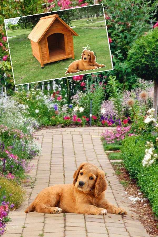 Background Changer : Cut Paste Photo Editor screenshot 4