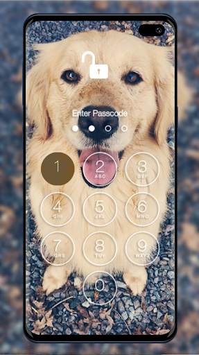 Golden Retriever Wallpapers & Lock Screen screenshot 4