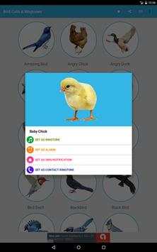 Bird Sounds & Ringtones screenshot 9