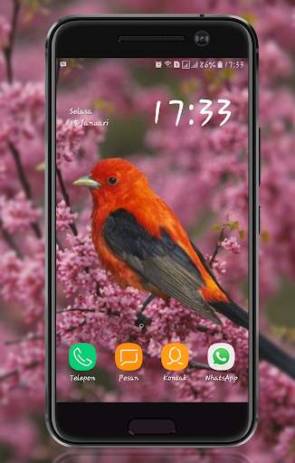 Bird Wallpaper screenshot 7
