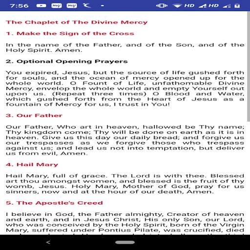 Chaplet of the Divine Mercy 2 تصوير الشاشة