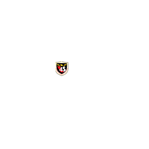 4s security icon