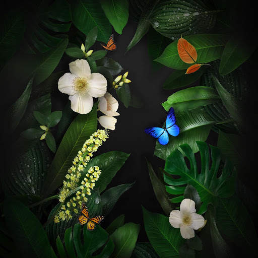 Wallpaper for Huawei Mate 10 screenshot 13