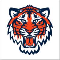 Tiger Game- Online Matka Play