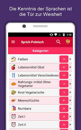 Sprich Polnisch : Lernen Polni screenshot 9