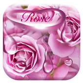 Tastiera di Waterdrops Rose icon
