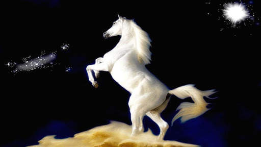 Horse Wallpapers HD screenshot 5