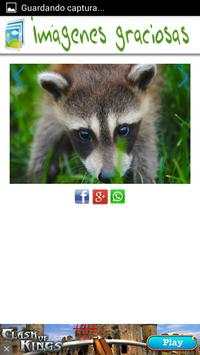 Images for Facebook screenshot 6