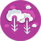 Raino Browser icon