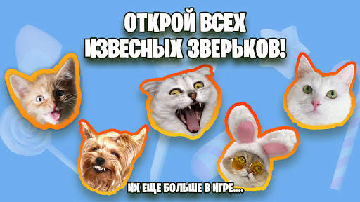 Candy Cat скриншот 8