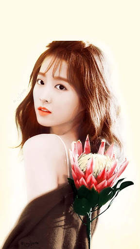 Latest Park Bo Young Wallpapers HD screenshot 10