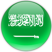 VPN MASTER icon