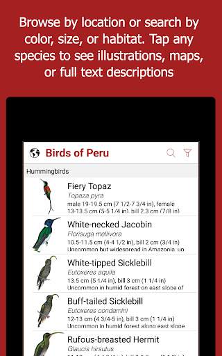Birds of Peru screenshot 7