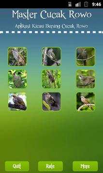 Straw-headed Bulbul screenshot 3