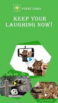 Funny Video screenshot 2
