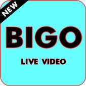 Bigo Live Lite Streaming App Guide 1.0