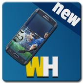 Daily Sports Latest icon