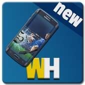 Daily Sports Latest
