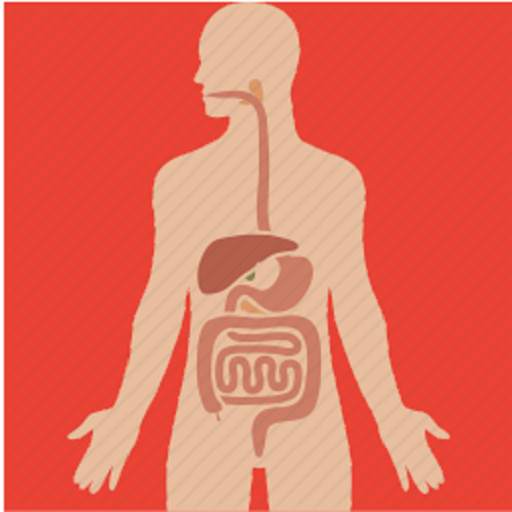 Basic of Digestive System 1.0.3