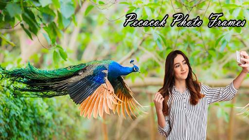 Peacock Photo Frames screenshot 4