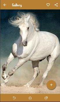 Horse Wallpapers screenshot 8