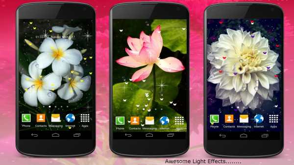 Live Wallpaper - Flowers screenshot 1