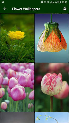 Flower Wallpaper screenshot 3