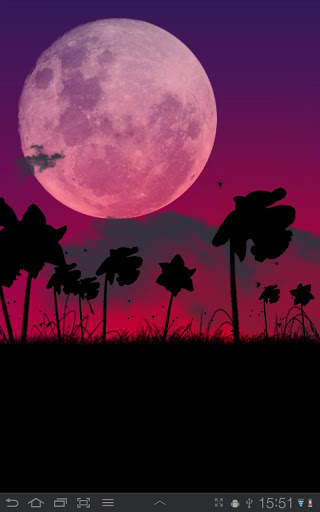 Daffodils Free Live Wallpaper screenshot 3