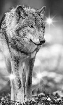 Wolves Voices live wallpaper screenshot 1