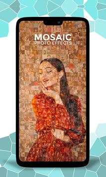 Mosaic Photo Effects 1 تصوير الشاشة