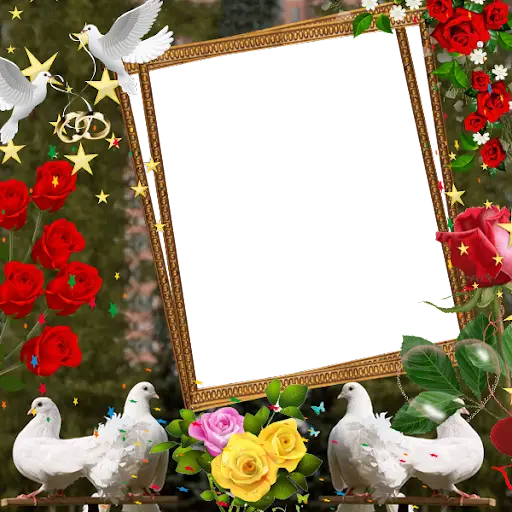 Love Birds Insta DP : Bird DP  screenshot 2