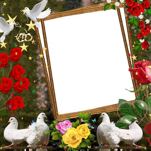 Love Birds Insta DP : Bird DP  screenshot 2