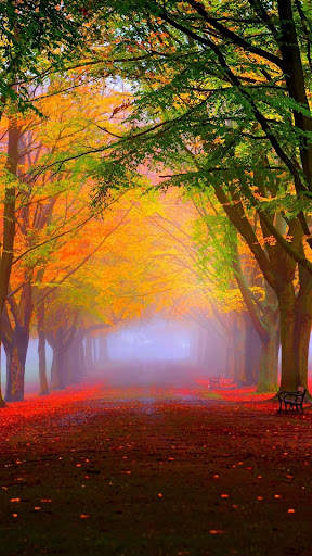 Beautiful Place Wallpaper screenshot 7