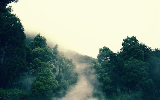 Jungle Wallpaper screenshot 4