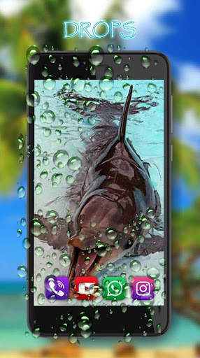 Dolphin Voice screenshot 3