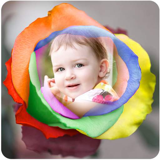 Rose Photo Frames 1.18