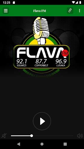 Flava FM screenshot 2