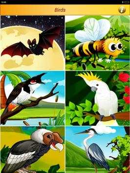 Birds Pictures Game for Kids screenshot 14