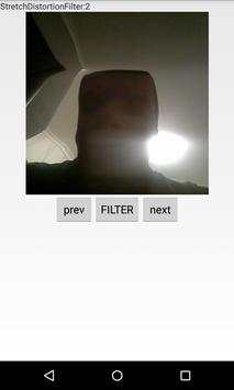 Camera Filters Demo screenshot 2